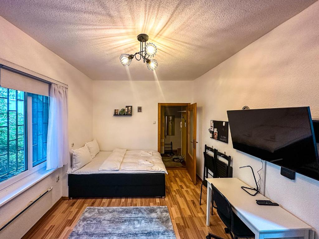 Cozy Studio in the City Center - 3