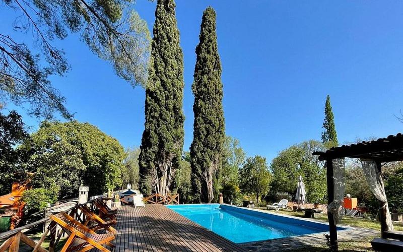 Cabañas spa el petrel - 3