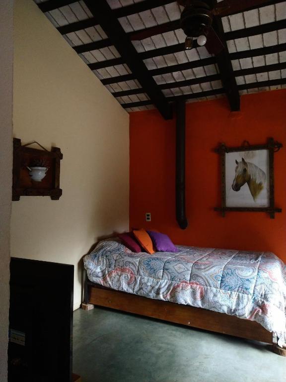 Cabañas spa el petrel - 2