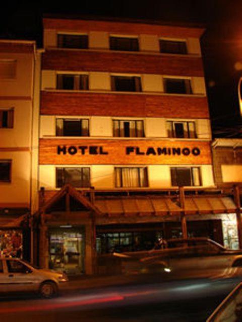 Hotel Flamingo - 1