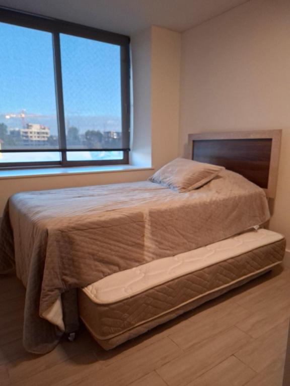 Lake view-Volcanoes and nature - 4