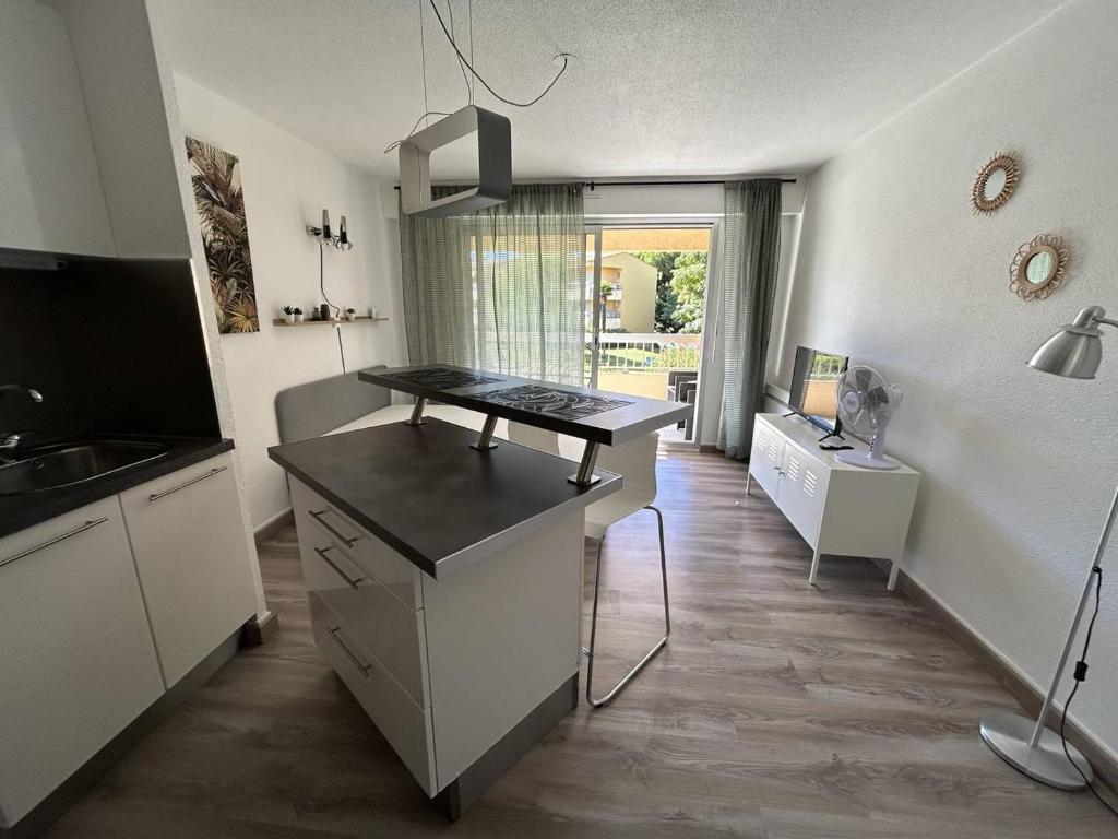 Studio rénové avec terrasse et parking au Lavandou - FR-1-251-871 - 2