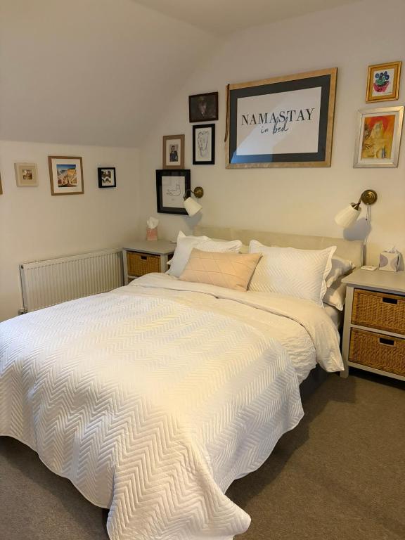 Kingfisher, Bourton-on-the-Water