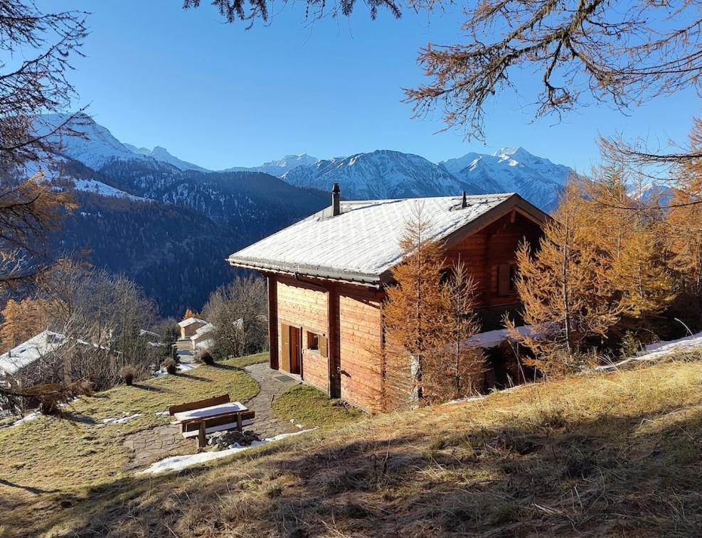 Chalet Luisa, Bellwald