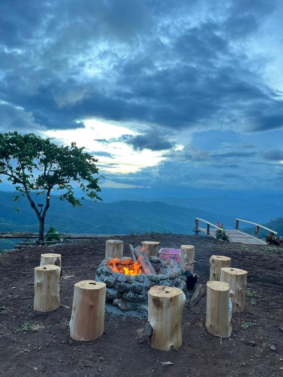 Surrounding environment