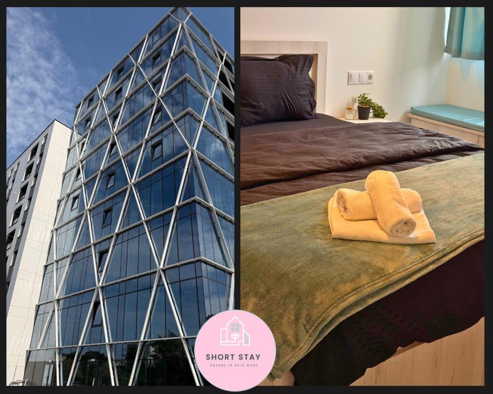 Short Stay Cosbuc, Baia Mare