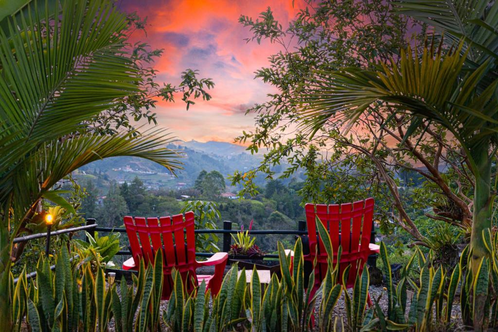 Roots Eco House - 2
