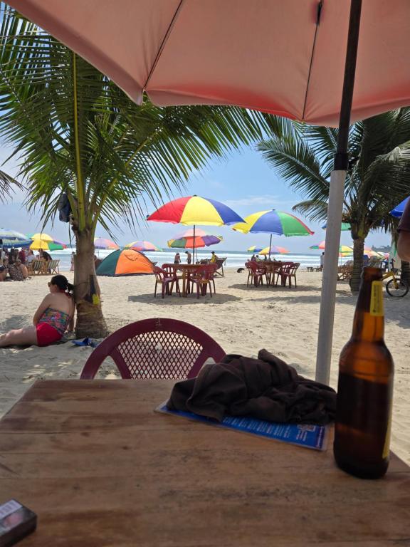 Palms Oasis Montañita - 3