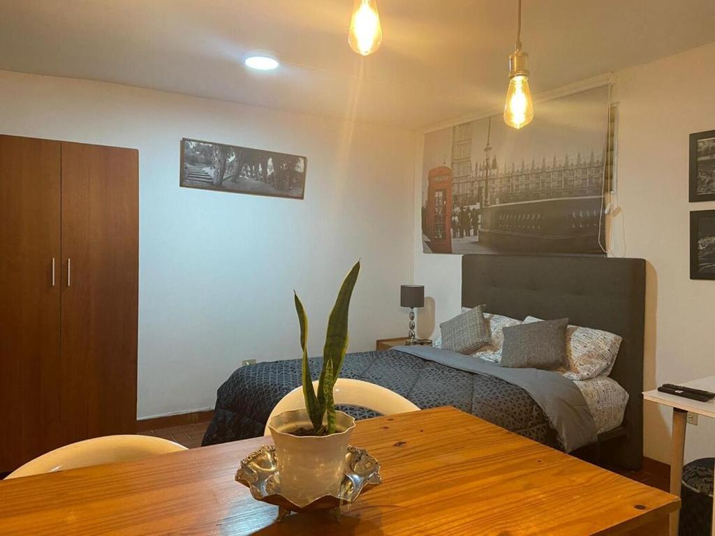 CANEY Traveller House - 2