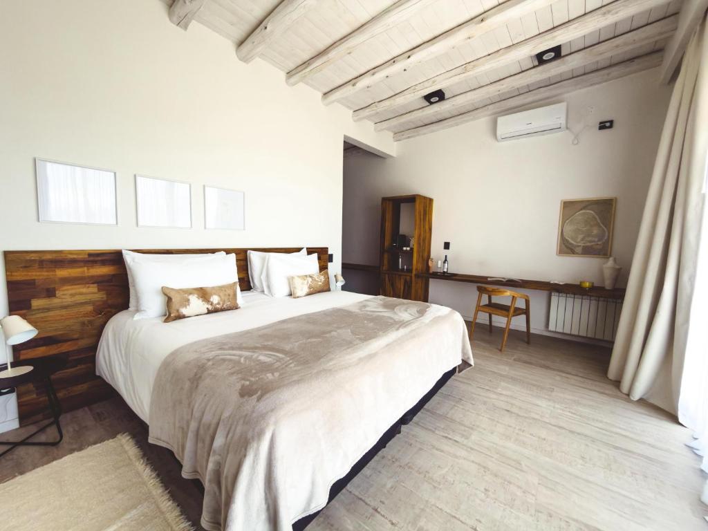 Terra Uco Suites & Viñedos - 4