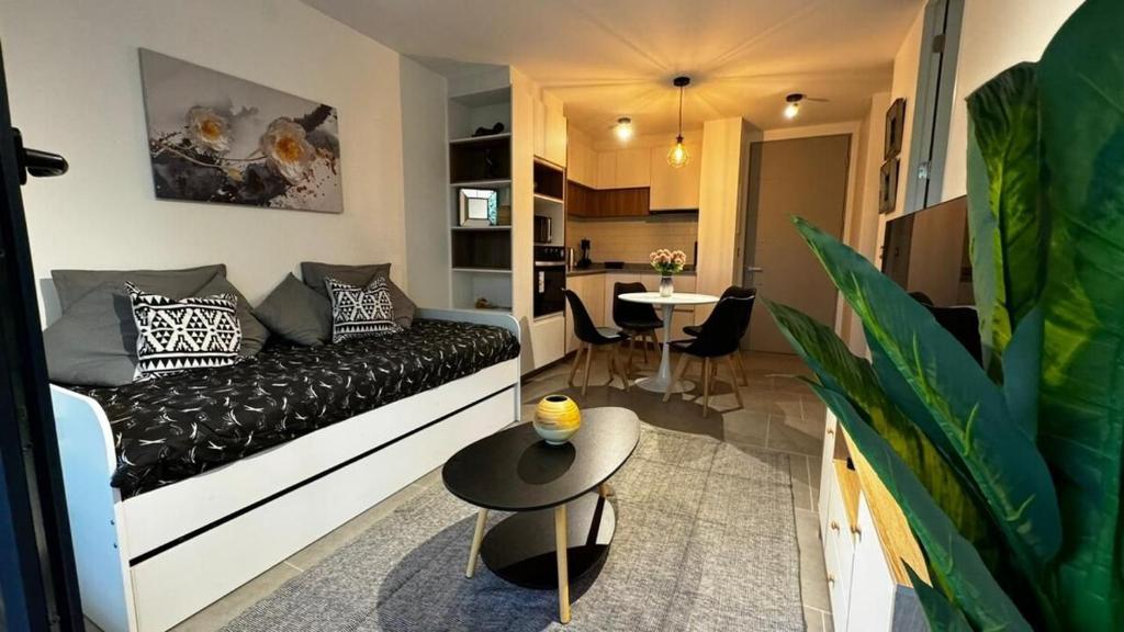 Ven y conoce la Araucanía, Pucón