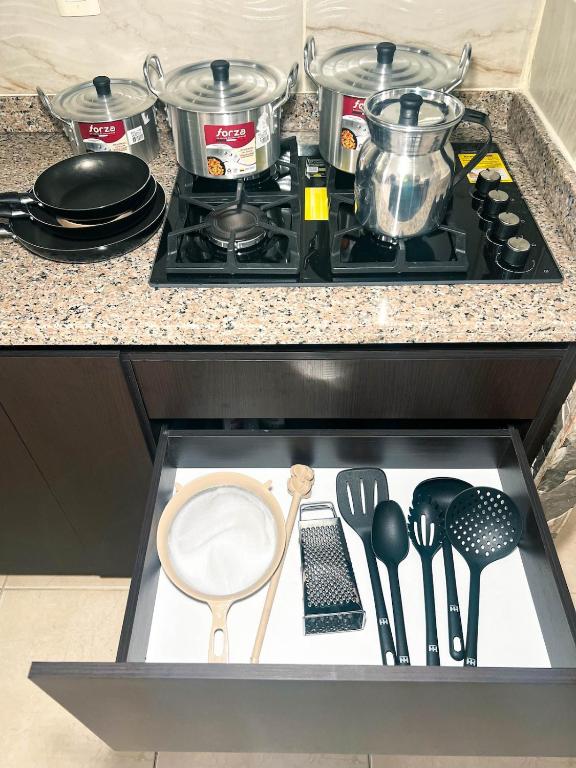 Luxury apartment, with Panoramic Mountain View - 5