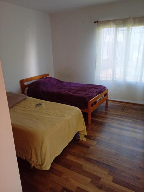 Verde y tranquilidad - 3