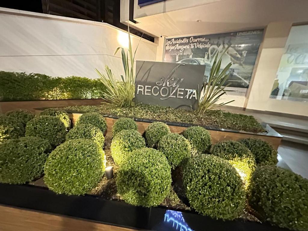 Familiar con terraza privada zona norte - 5