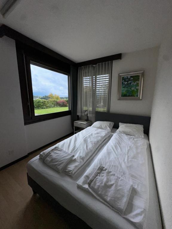 Beautiful apartment near Luzern, view to Rigi,Pilatus Mountain - 3