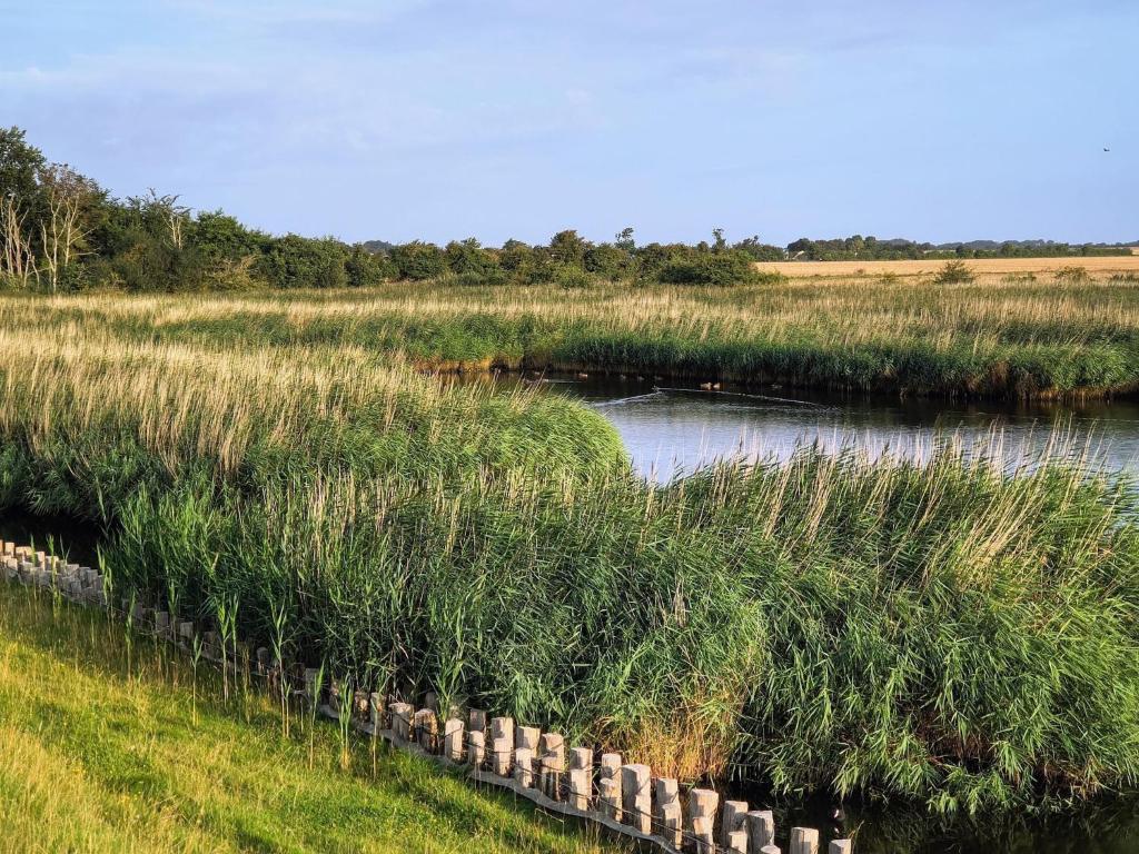 Surrounding environment