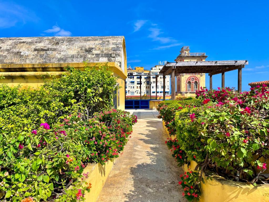 Calamari Homes - El Porvenir 305 - Walled city - 3