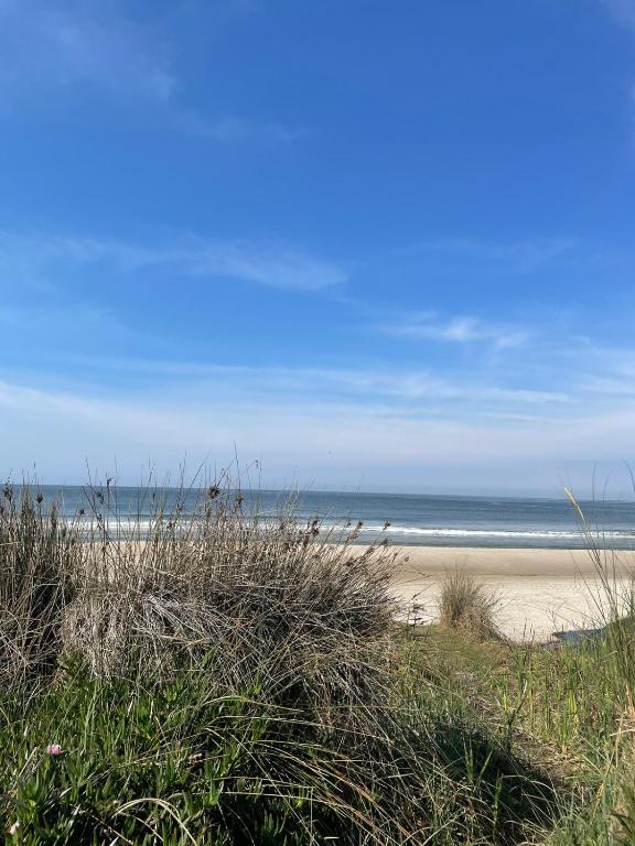 The Green House 1 - 5