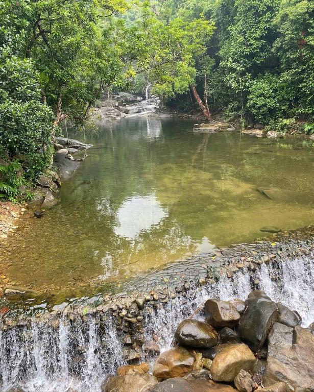 Surrounding environment