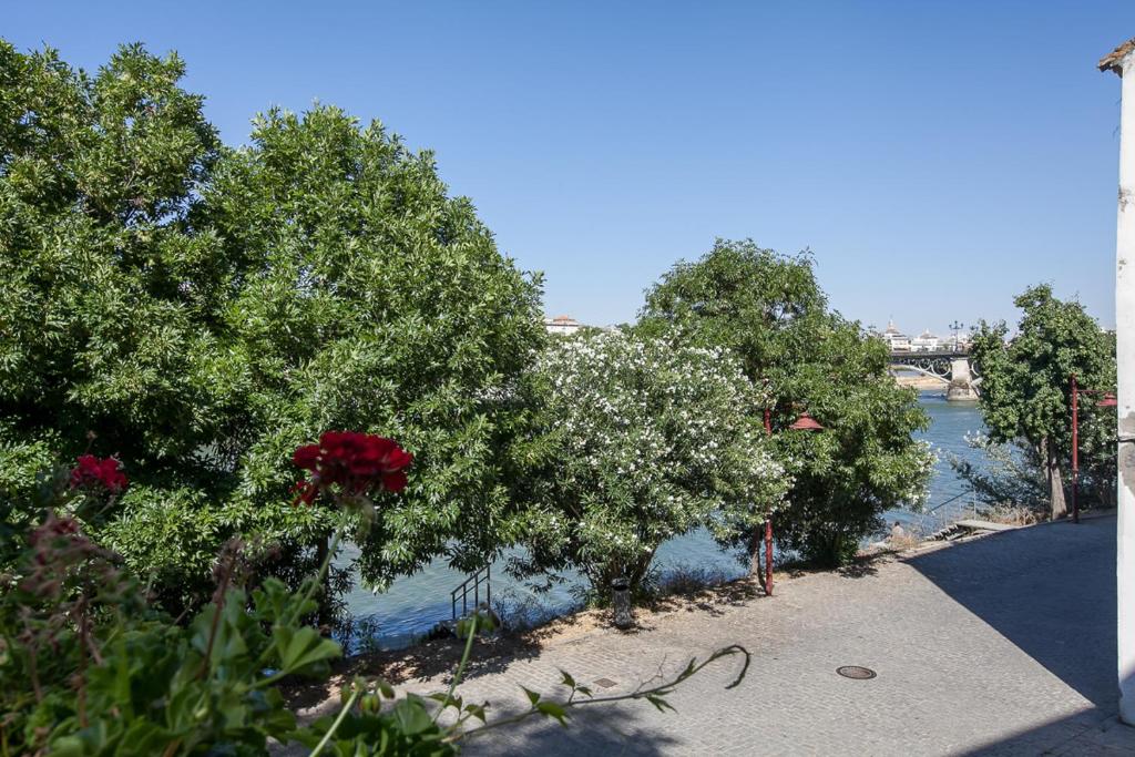 SevillaHome - Bonito Piso Junto al Rio - 3