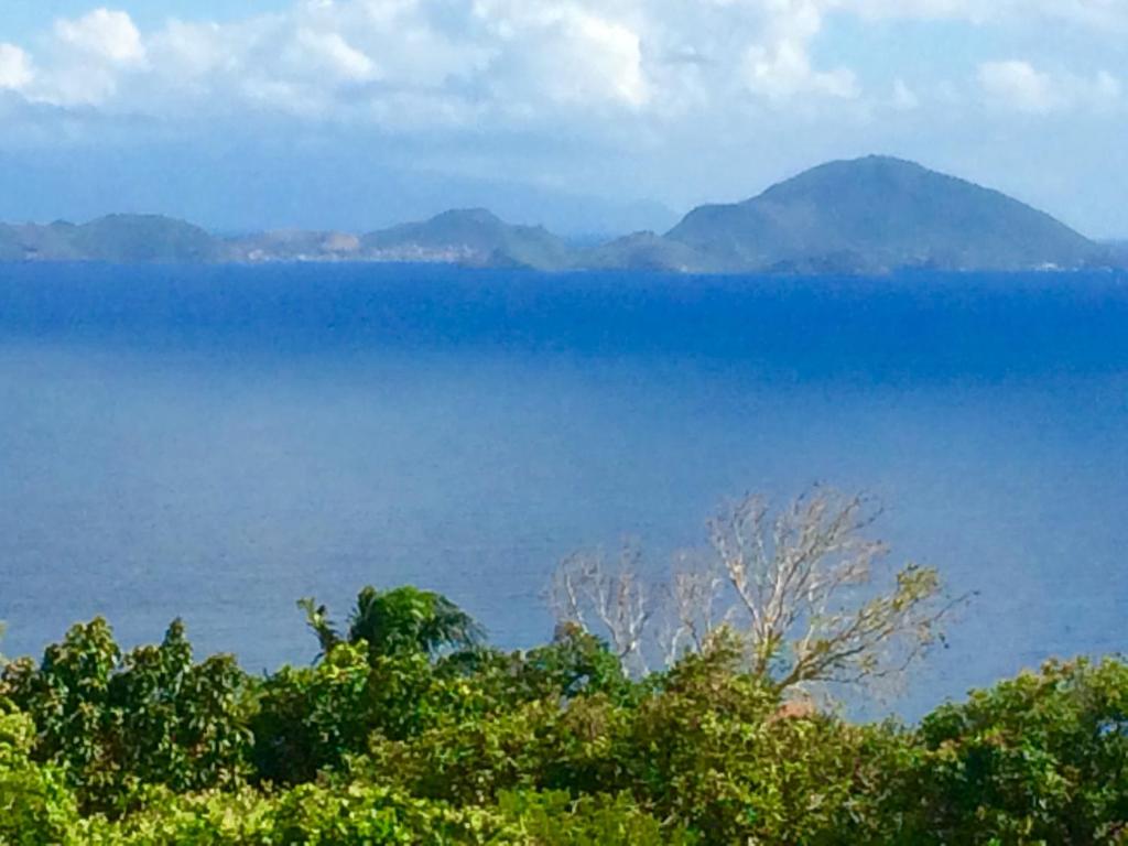 Surrounding environment