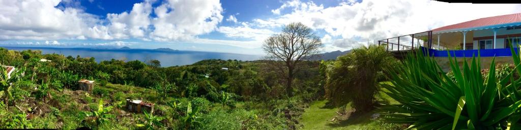 Surrounding environment