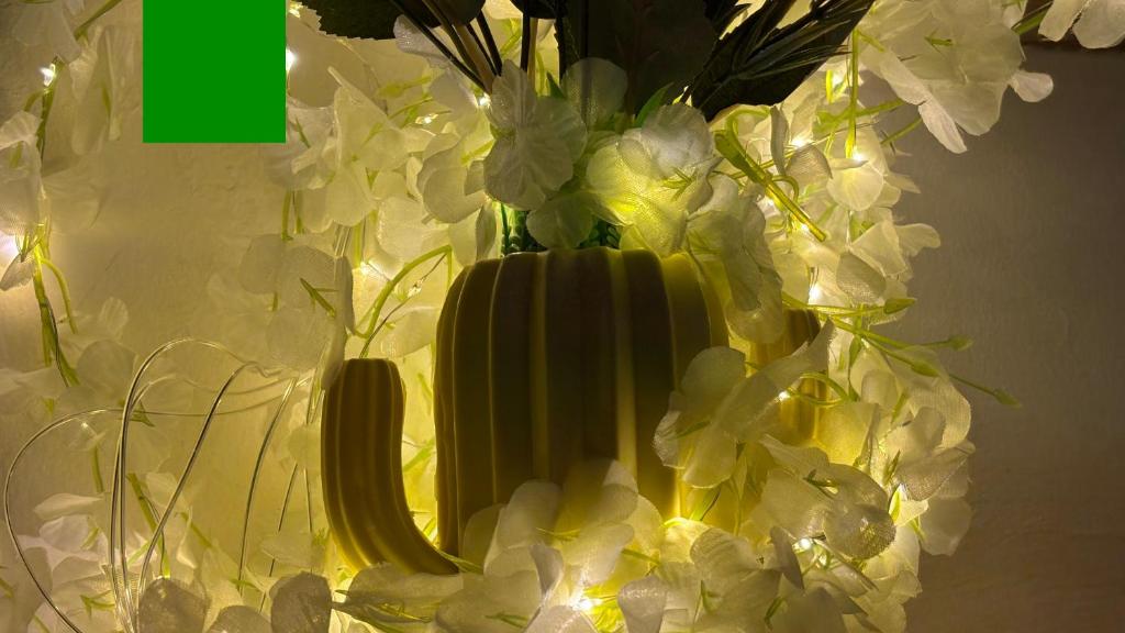 Swarga Fireflies Swarm Duo, Bengalúr