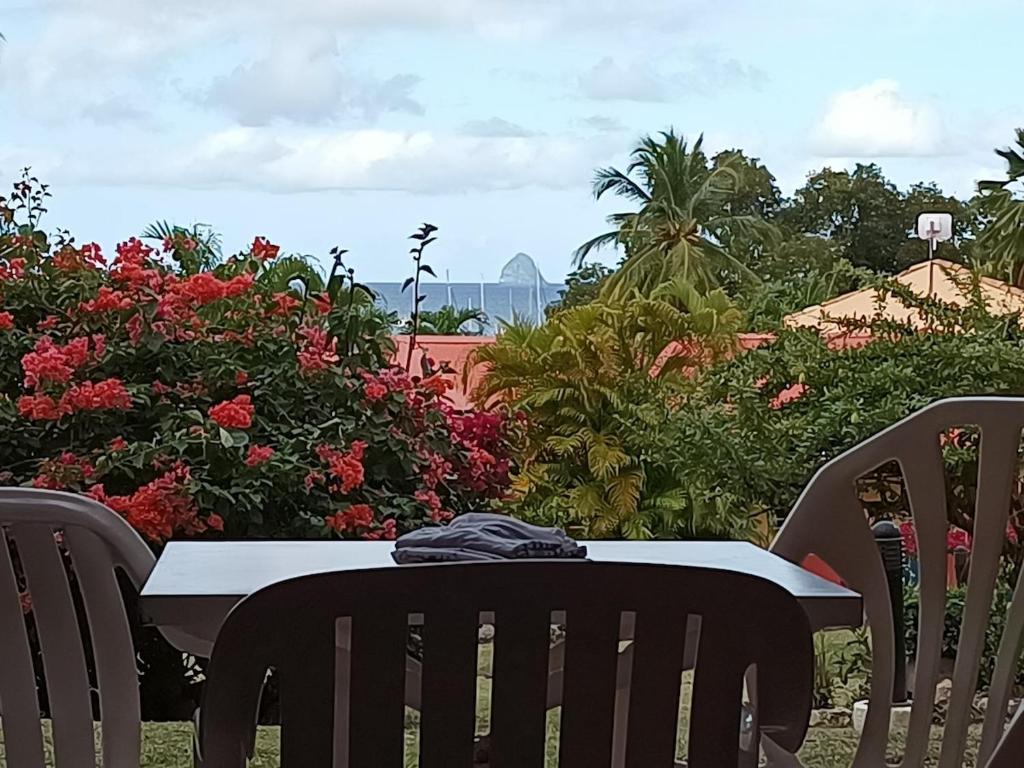 Sea view studio, beaches, pool bar, car option, Sainte-Anne