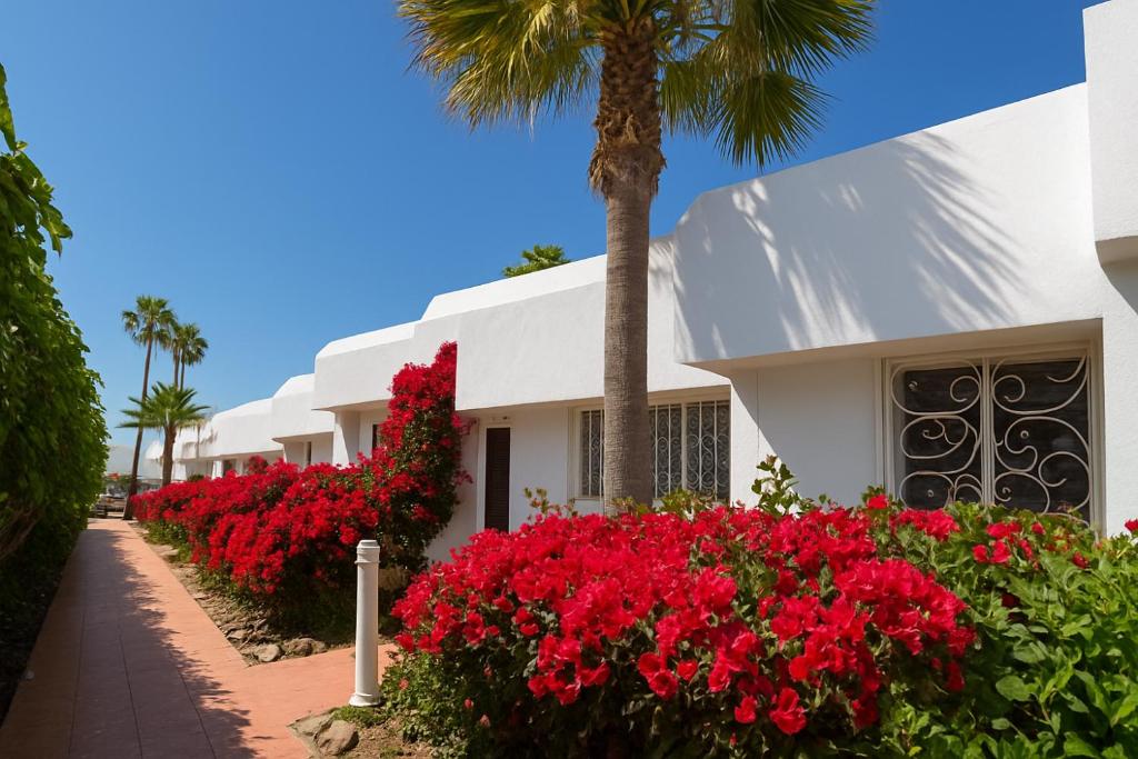 Casa Ursula - 3