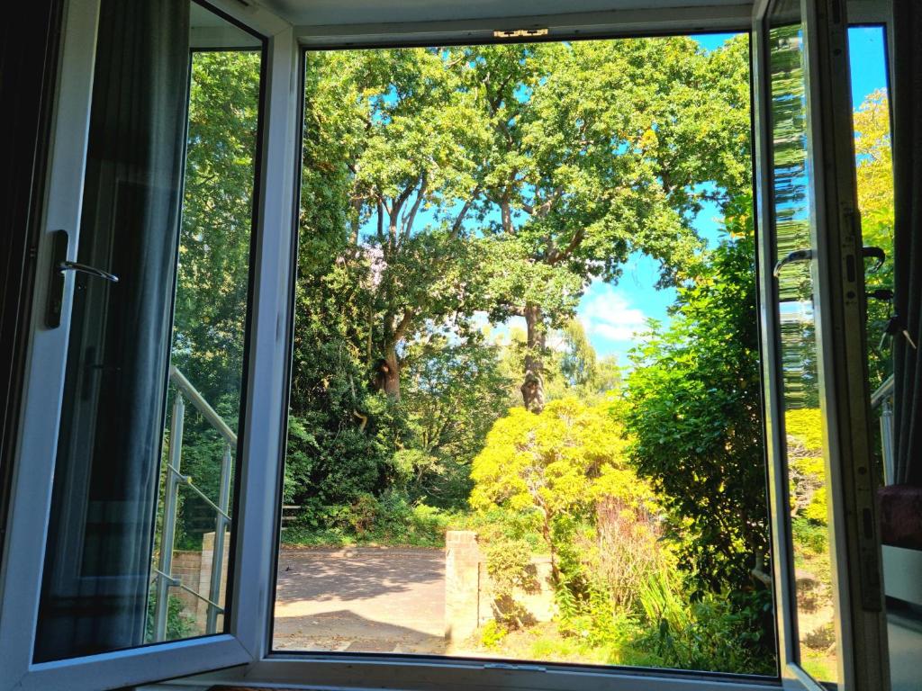 Peaceful Place Bournemouth - pet-friendly self-catering apartment with free parking and private entrance, handles 2 dogs comfortably