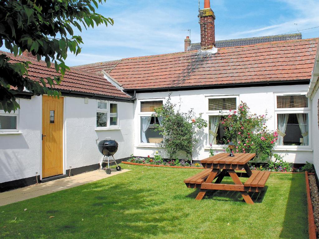 Little Tern, Winterton-on-Sea