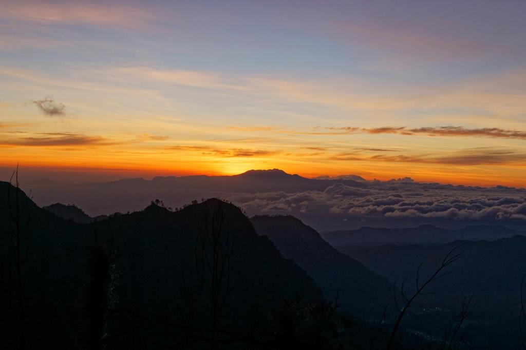 周辺観光スポット