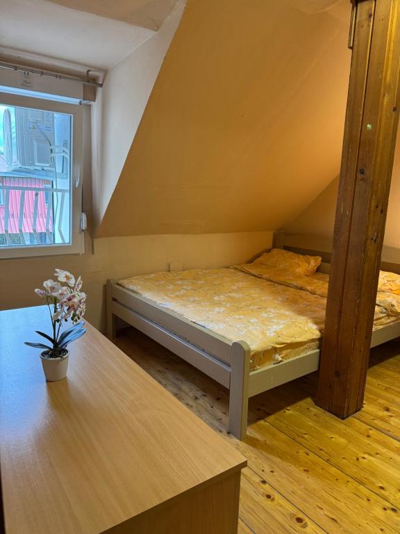 Central Cozy Apartment - 4