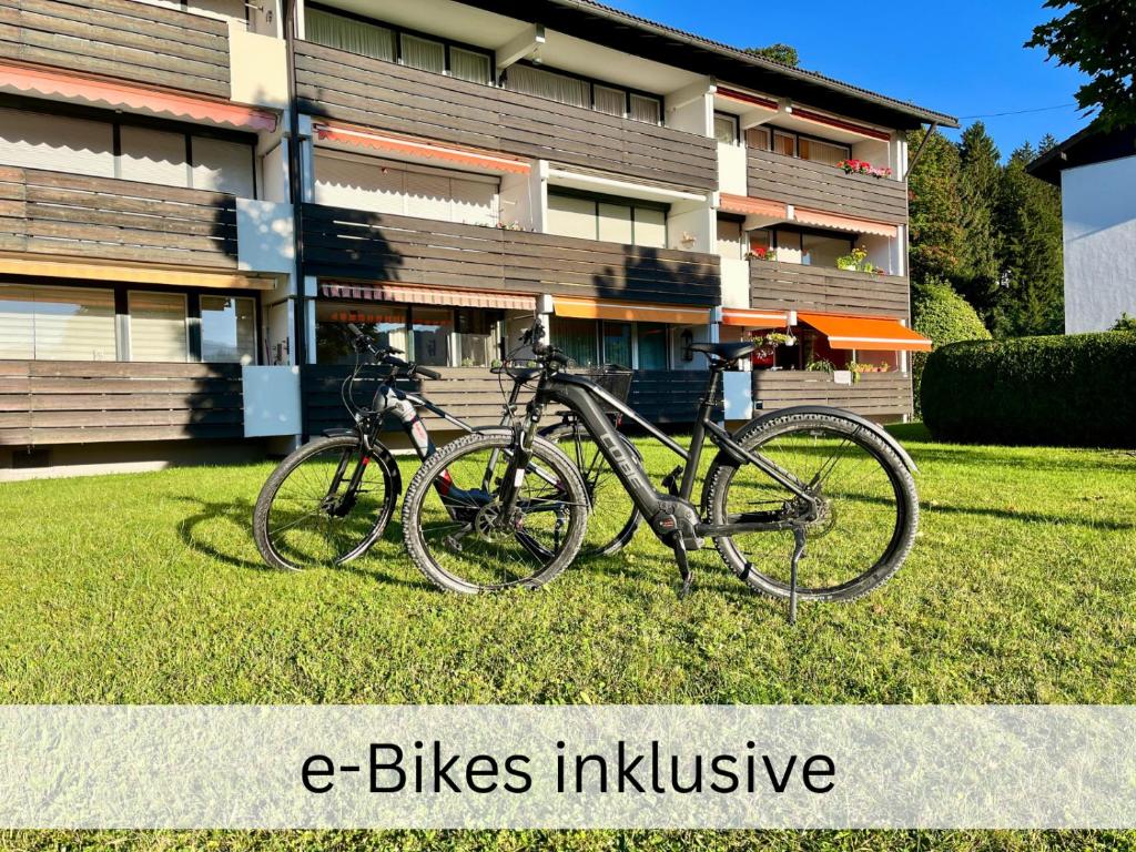 03 BERGFEX Ifenblick mit e-Bikes und Sommer-Bergbahnticket - 4