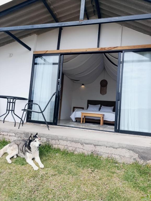 Home glamping - 5