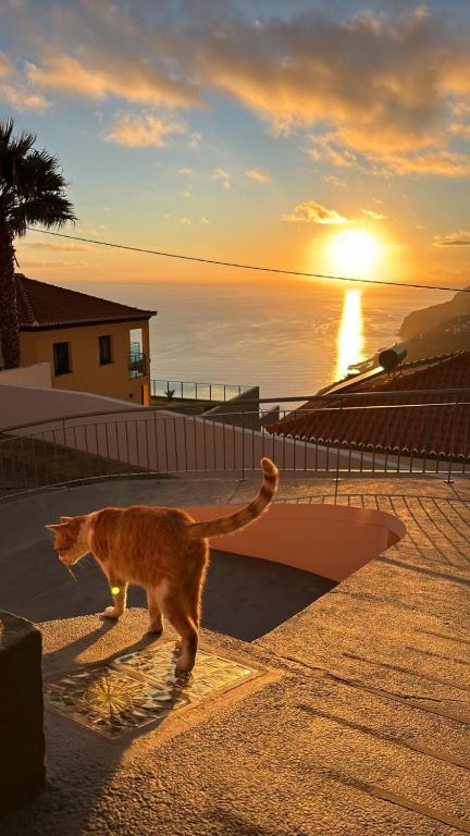 Beautiful View 1 - Arco da Calheta - Ilha da Madeira, Arco da Calheta