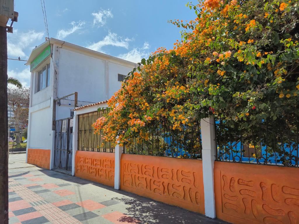 Illariy Wasi Hostal - 4