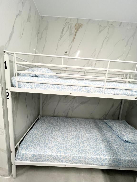 Hostel JIRAFA - 4