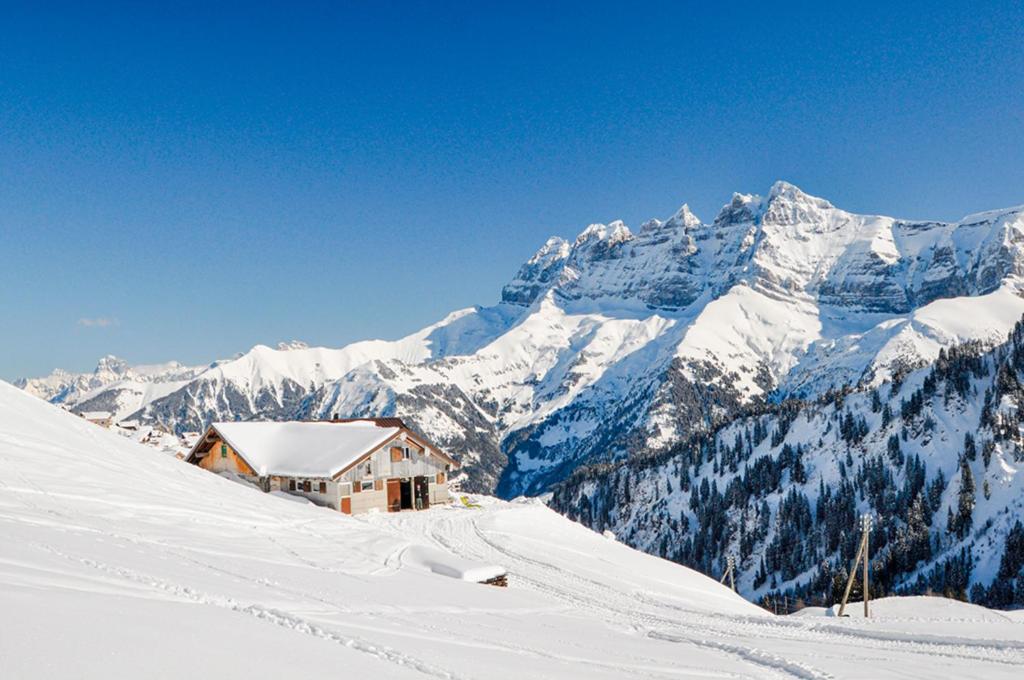 Chalet Alpage - 2