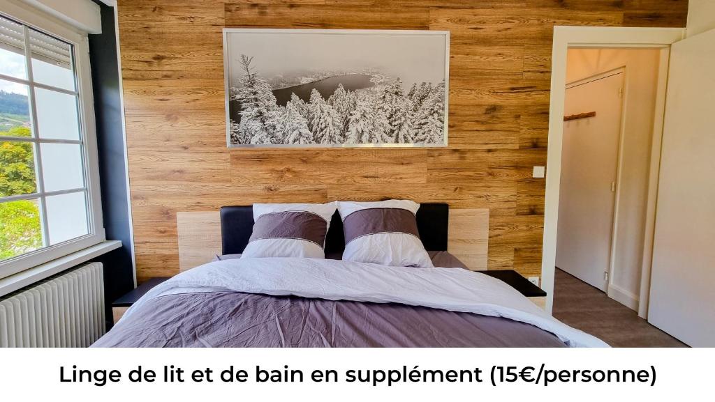 F2* * * 80M DU LAC avec vue+terrasse+proche centre - 5