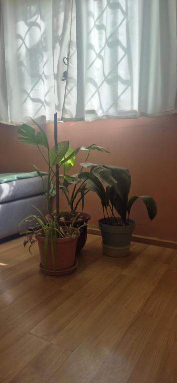 Departamento Centro Neuquén Capital - 2