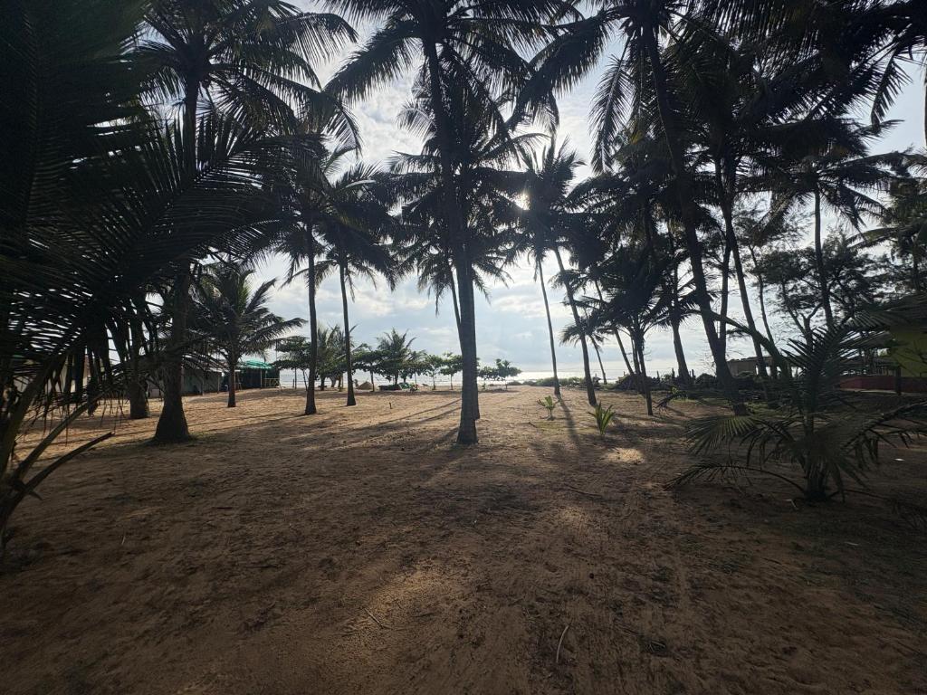 Coco beach front stay, Gokarn