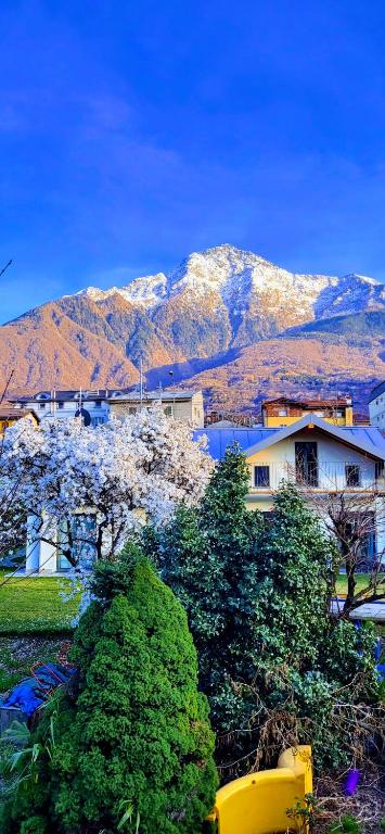 I LAGHEE casette BREVA e TIVANO Lakeside Garden Bike&Boat&Scooter Lake Como - 2