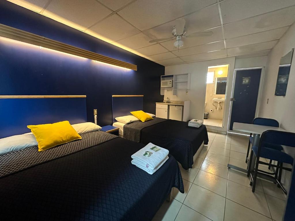 Vagabundo Expo Guadalajara, Guadalajara