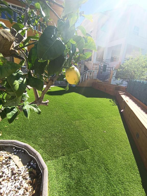 Family Suite with Terrace Garden - 4