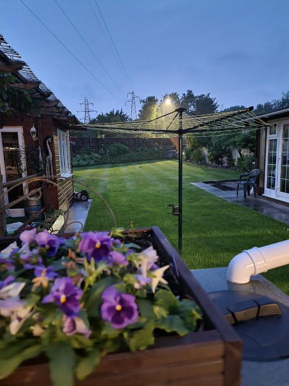 Dorset Escape, Poole