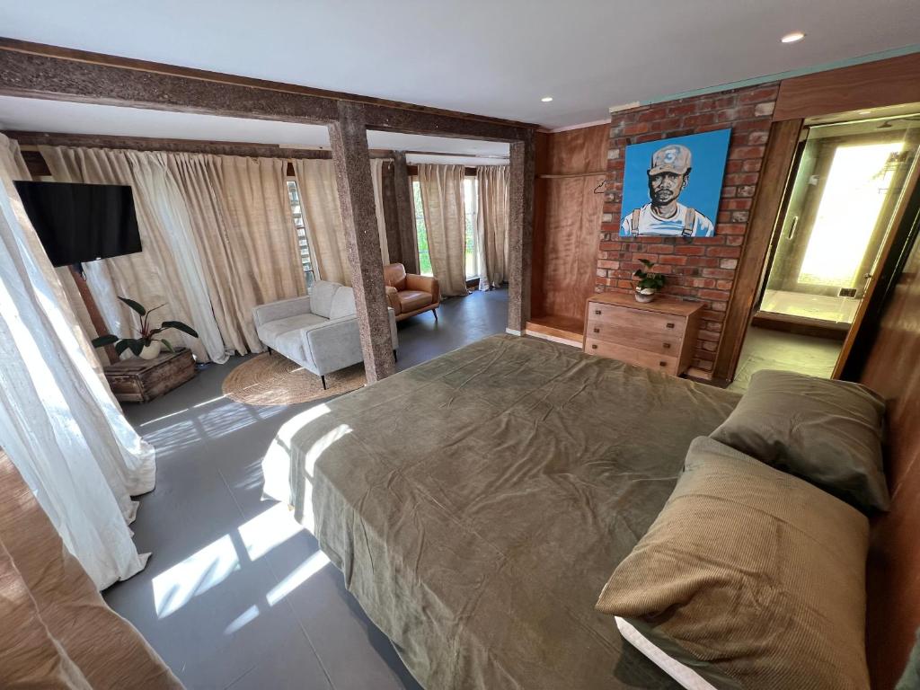 Jungle studio, Окленд