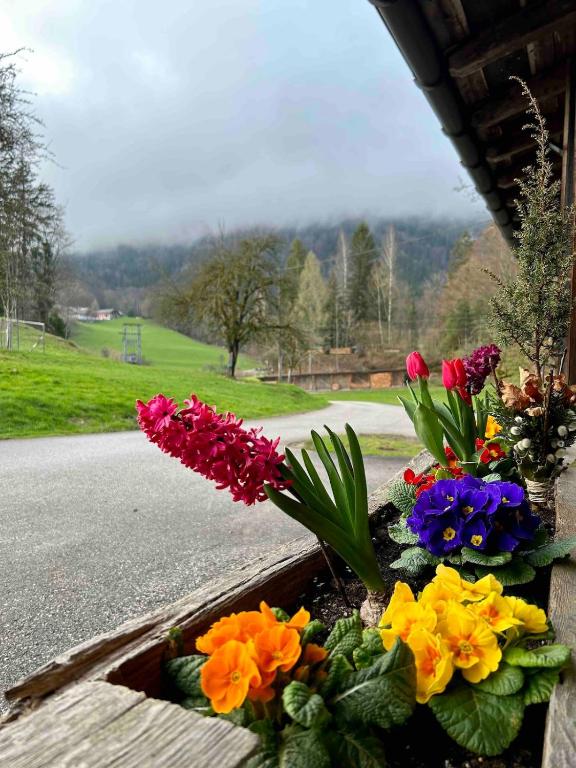 Ferienwohnung Bleckwand am Buchberghof - 4