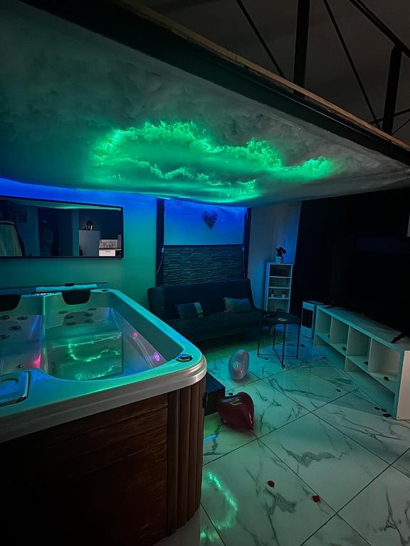 Appartement jacuzzi - Love Room - 2