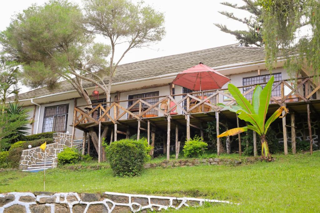 お料理のイメージ